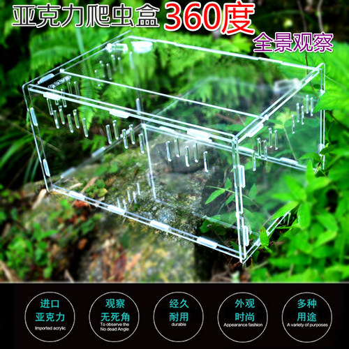 全景高透明亚克力宠物甲虫盒爬虫箱亚克力爬宠饲养箱乌龟蝎子新品 - 封面