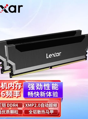 雷克沙（Lexar）冥王铠3866MHz 8G DDR4 C18 黑色 台式机内存
