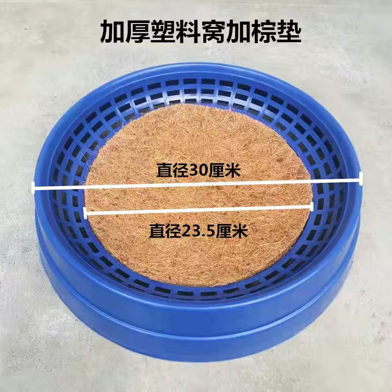 信鸽巢盆棕垫鸽子窝垫布垫鸽子用品用具塑料窝垫子鸟窝垫清洗布垫图片