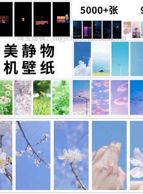 高清风景背景唯美天空静物小清新花朵手机桌面壁纸jpg图片素材集