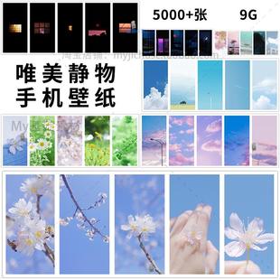 高清风景背景唯美天空静物小清新花朵手机桌面壁纸jpg图片素材集