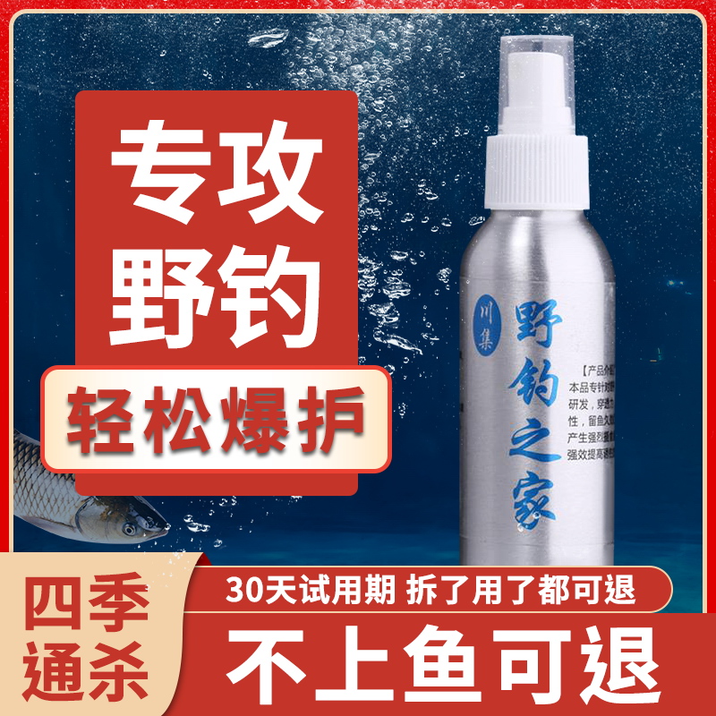 冬季大全黑坑专用小药野钓野钓