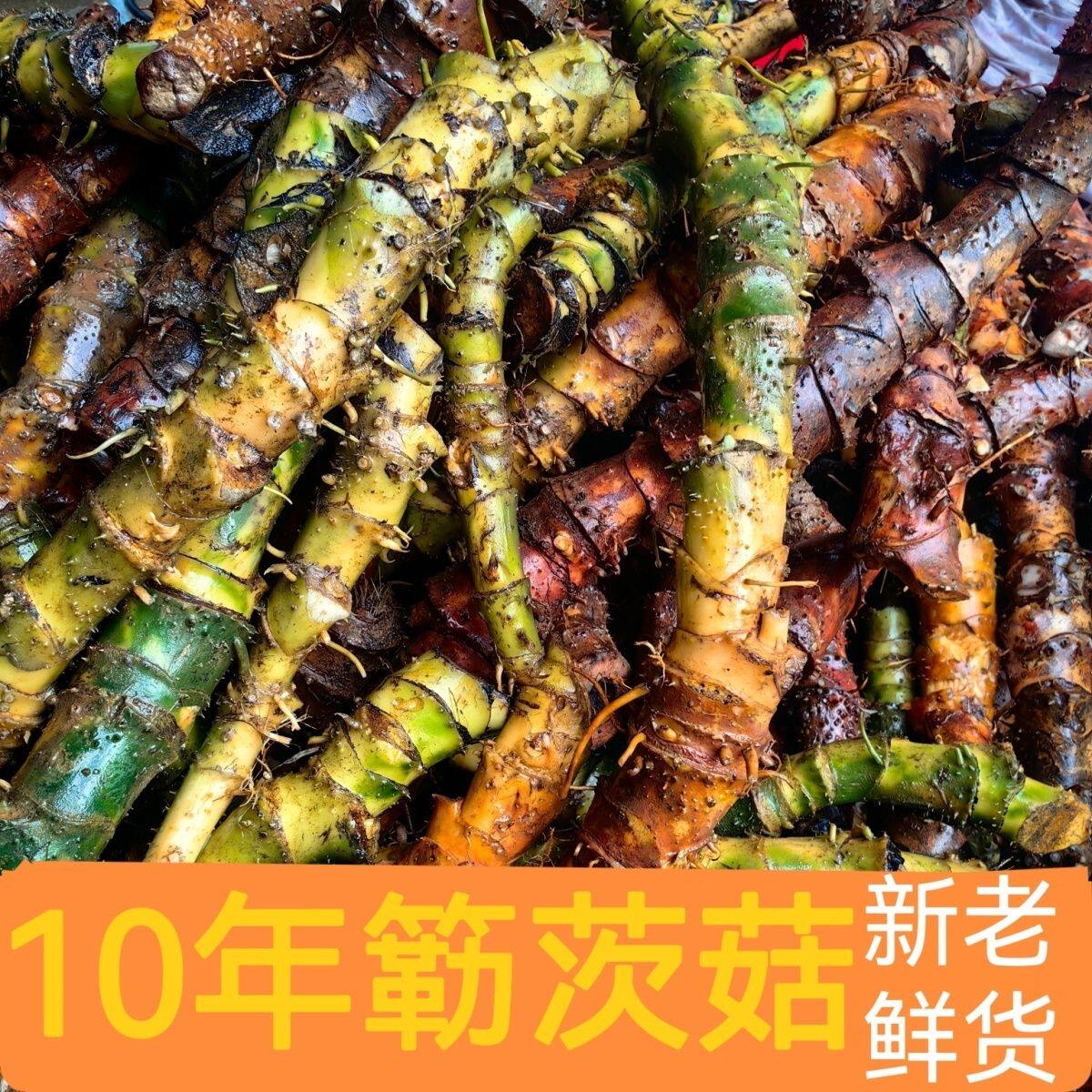 新鲜簕茨菇煲汤养生茶稀缺同城配送门店自提普通快递现挖现发包邮