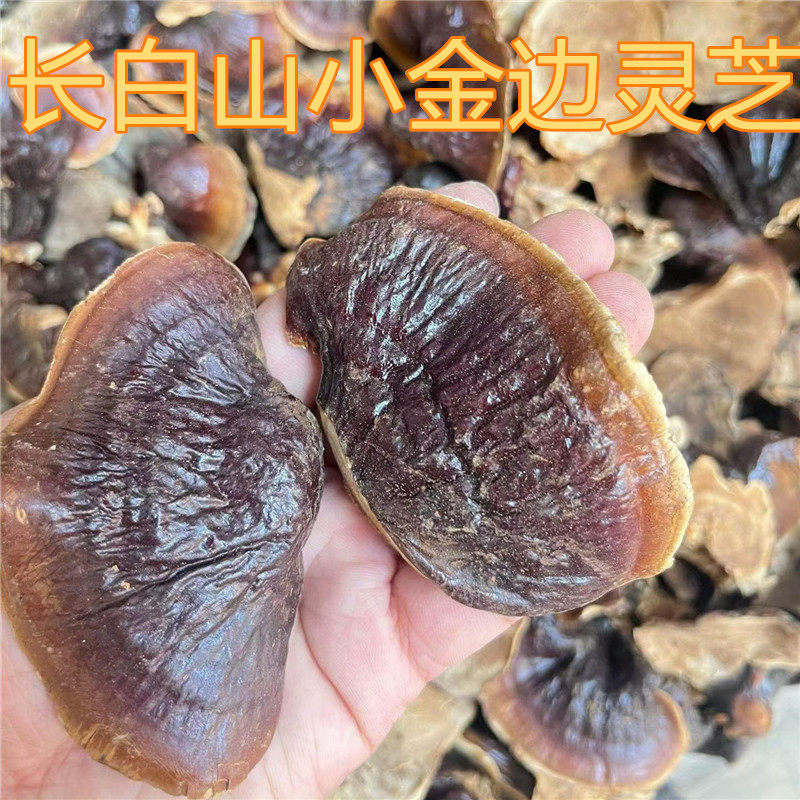 长白山小金边灵芝护肝养肝清肝补炖鸡汤半野生紫芝赤芝黑灵芝林芝
