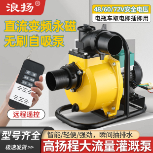 永磁变频无刷直流自吸泵48v60v72V电瓶车专用抽水泵农用灌溉浇地