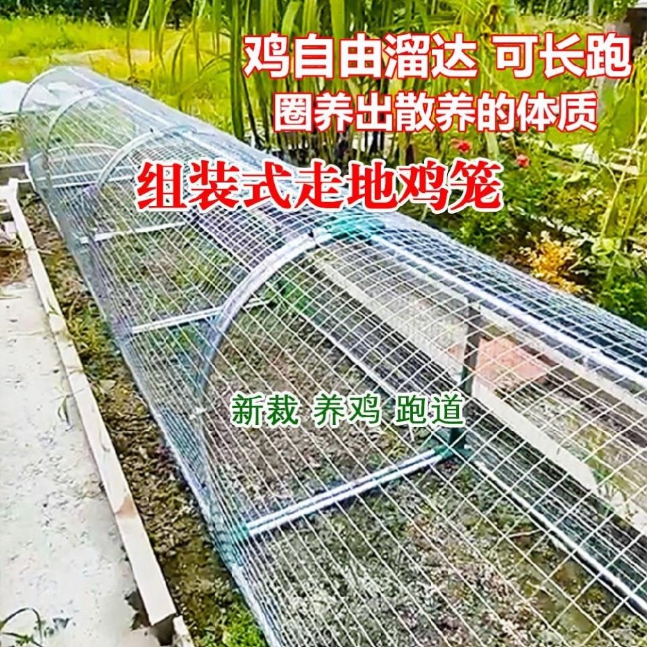 走地鸡笼跑道养鸡隧道笼子农场农庄户外溜达鸡笼子鹌鹑散养隧道笼