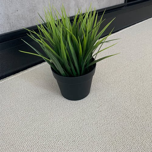 米白色拍照地毯背景布客厅卧室
