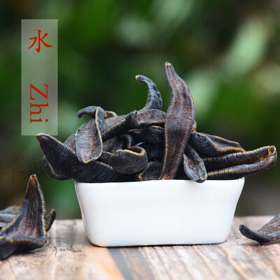 水蛭干 野生吊干大水蛭 金边蚂蟥 正货