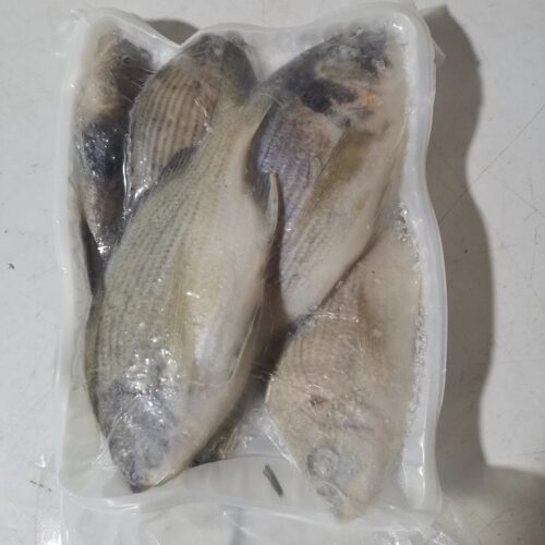 东山岛海鲜海钓鱼便宜优惠