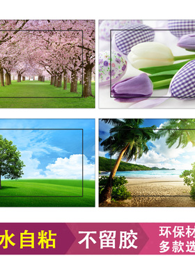 新品电表箱贴纸遮挡装饰画风景配电箱多媒体贴膜墙贴自粘贴画a452