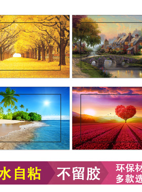 新品电表箱贴纸遮挡装饰画花卉配电箱多媒体贴膜墙贴自粘贴画a480