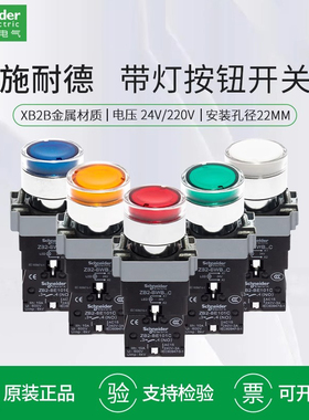 施耐德带灯按钮开关XB2BW33B1C 绿色常开24V 220V红色XB2B W34M1C