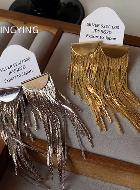 高级感大气金属长款流苏耳环女小众轻奢设计感简约气质耳饰