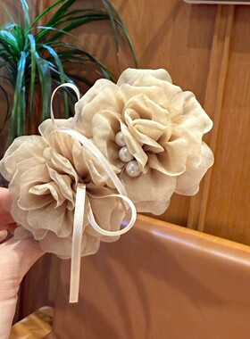 韩版春夏嫩黄色烧花气质山茶花弹簧夹发夹高级感花朵发饰氛围感