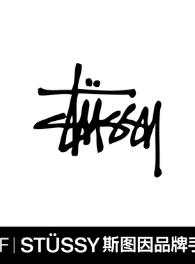 【V68-62】stussy Brandl Handbook  鉴赏  PDF格式