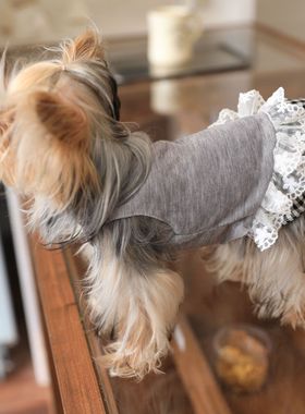 秋季宠物狗狗衣服保暖小型犬约克夏泰迪比熊纯棉透气公主风背心裙