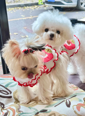 宠物狗狗衣服秋冬纯棉加厚卫衣小型犬约克夏马尔济斯比熊保暖发热