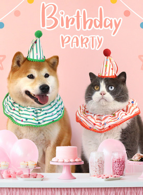 可爱宠物围脖狗狗生日装饰装扮套装小型犬泰迪帽子公主风猫咪围兜