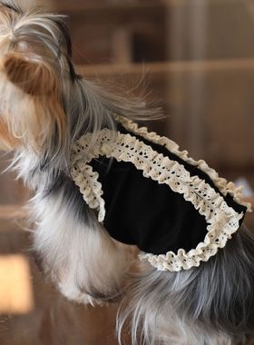 宠物狗狗衣服春秋纯棉泰迪小型犬比熊猫咪外出公主风保暖吊带背心