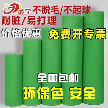 金宁绿色地毯地毯幼儿园加厚果绿舞台展会婚庆防滑楼梯满铺一次性