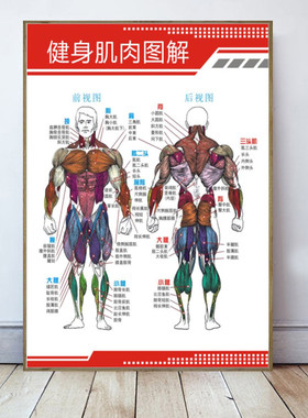 易挂高档挂画运动装饰画健身健美