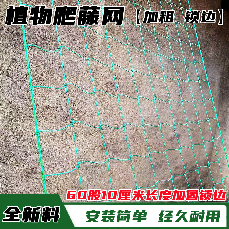 植物爬藤网花卉蔬菜瓜果丝瓜苦瓜吊瓜葡萄瓜蒌豆角百香果攀爬网