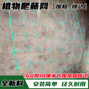 植物爬藤网花卉蔬菜瓜果丝瓜苦瓜吊瓜葡萄瓜蒌豆角百香果攀爬网