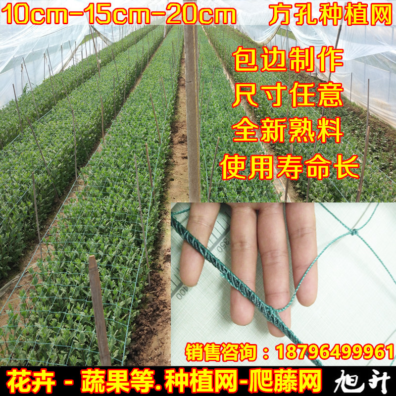 爬藤网蔬菜菊花韭黄康乃馨