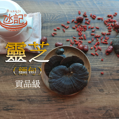 澳门氹记灵芝食得好健康