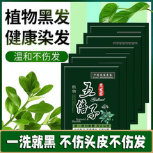 绱安中华禅洗染发剂一洗黑纯植物染发剂自然黑染发膏黑色官网正品