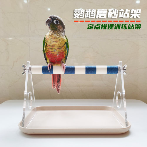 鹦鹉桌面站架训练定点排便