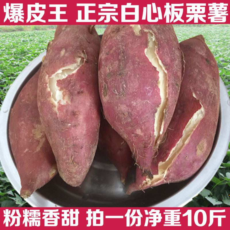 爆皮王粉番薯10斤 新鲜白心红薯板栗白薯红皮白心山芋白瓤地瓜