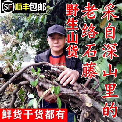 南岭野生络石藤老石龙藤顺丰包邮
