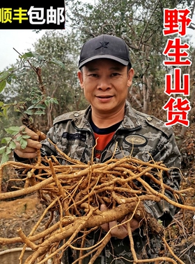 顺丰包邮南岭野生楤木鹊不踏虎阳刺海桐皮鸟不宿苗新鲜天然中药材