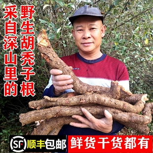 顺丰包邮南岭野生胡秃子根羊奶子胡颓子牛奶根贯榨无硫干货中药材