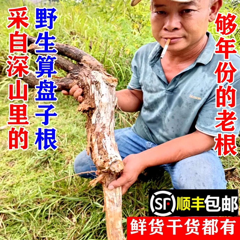 顺丰包邮南岭野生算盘子根野南瓜算盘珠金骨风新鲜茎叶干货中药材