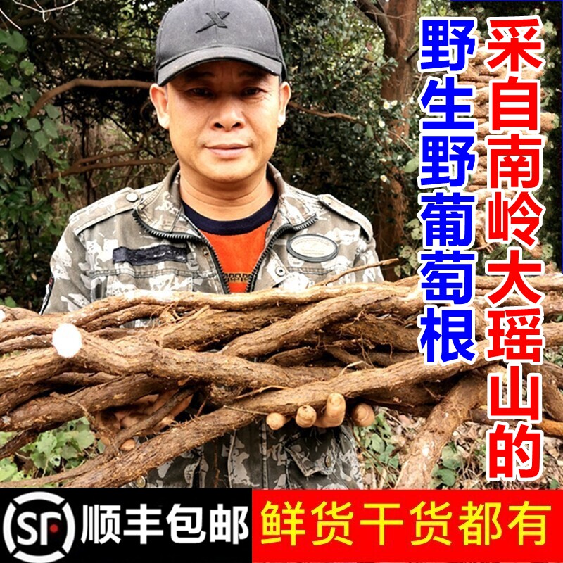 南岭野生野葡萄根新鲜蛇葡萄红心山葡萄根养生泡酒干货煲汤中药材