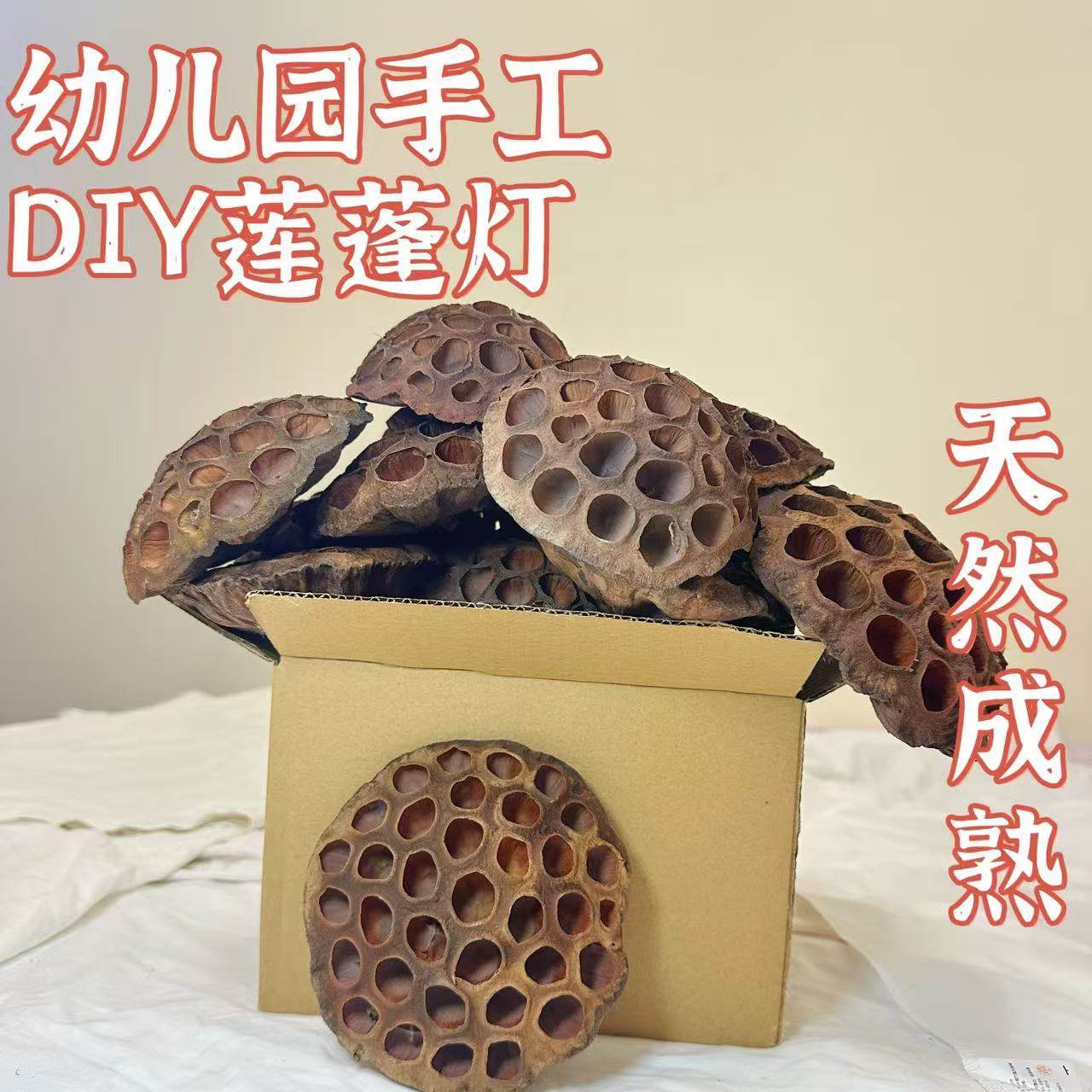 幼儿园手工DIY莲蓬灯天然干莲干花/花瓣/干花包/
