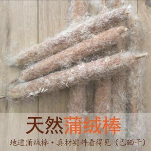 纯天然野生蒲绒护颈蒲棒蒲絮芦花香蒲绒枕头芯填充物配枕芯套免洗