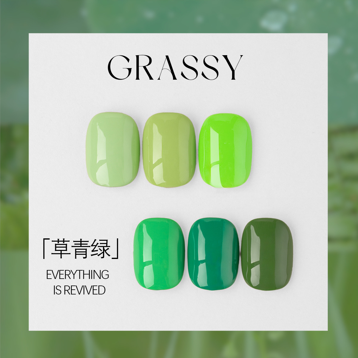 绿色纯色抹茶绿希格尼显白