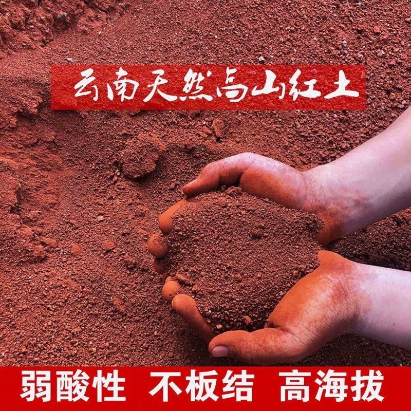 酸性沙质红土黄土壤南方高山土田园土通用土种花种菜花泥土红土泥