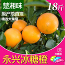 楚湘味永兴冰糖橙湖南郴州特产果园直供现摘现发18斤装 精选果橙子