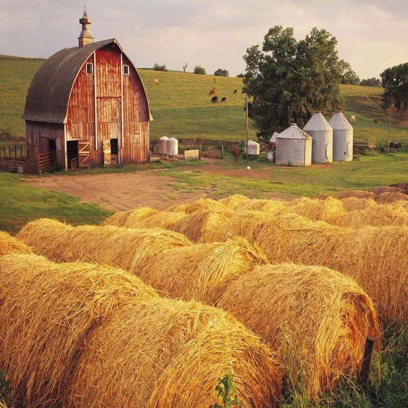 新款5D钻石画满钻客厅卧室点贴钻十字绣小风景系列稻草小屋钻石绣