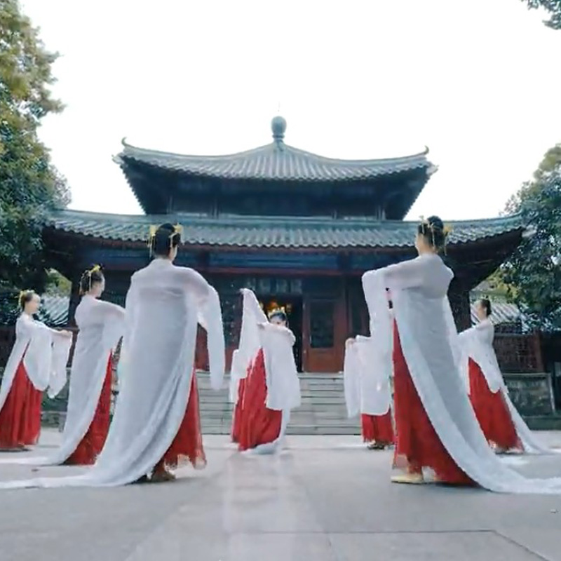 新款广袖大袖衫古典舞练习袖武媚娘外披汉唐风丽人行舞蹈服表演服 - 封面