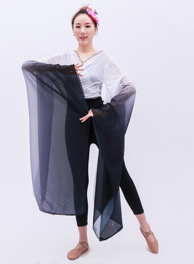 古典舞汉唐舞蹈服广袖大袖口汉服练功服女练习袖国韵礼仪舞服纱衣