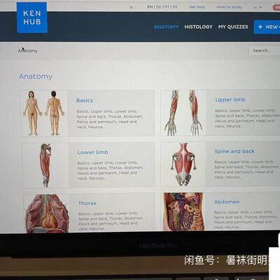 kenhub anatomy and histology 30G 仔细查看lista