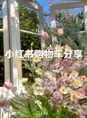 来来LLAI 小红书购物车分享活动