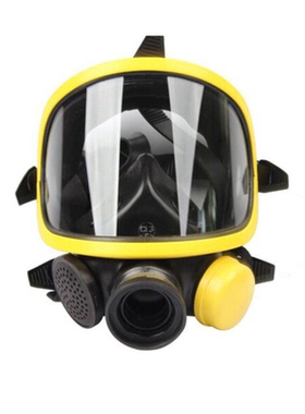 霍尼韦尔 1710397 C900/C850/T8000用 PANO全面罩