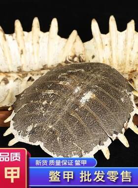 (老鳖甲)正品中药材甲鱼盖子甲壳精选免费打包邮上野生纯天然