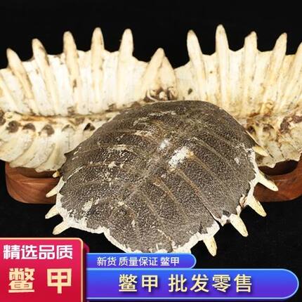 (老鳖甲)正品中药材甲鱼盖子甲壳精选免费打包邮上野生纯天然